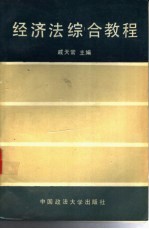经济法综合教程