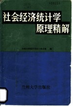 社会经济统计学原理精解