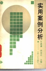 实用案例分析