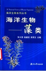 海洋生物-藻类
