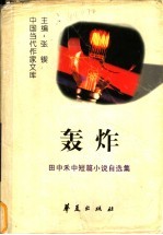 轰炸 田中禾中短篇小说自选集