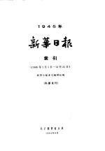 新华日报索引 1945