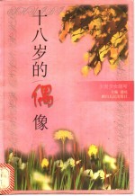十八岁的偶像