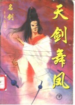 神风惊云 5 天剑舞凤 下