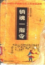 销魂一指令 中