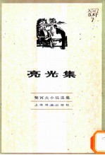 亮光集