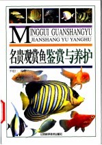 名贵观赏鱼鉴赏与养护