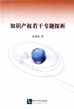 知识产权若干专题探析