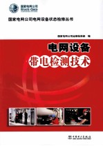 电网设备带电检测技术