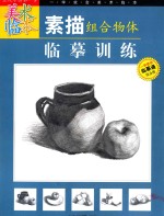 素描组合物体临摹训练