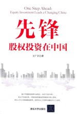 先锋 股权投资在中国