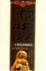 中国社会事实 20世纪末的武汉:人与社会 下
