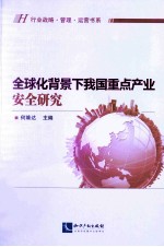全球化背景下我国重点产业安全研究