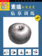 素描水果蔬菜临摹训练