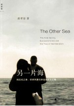 另一片海 阿拉伯之春、欧债风暴与新自由主义之殇