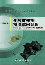 多尺度模糊地理空间分析 基于区间2-型模糊集