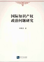 国际知识产权政治问题研究