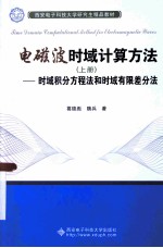 电磁波时域计算方法 上 时域积分方程法和时域有限差分法