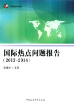 中国智库报告 国际热点问题报告 2013-2014