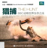 自然探索丛书 猎捕 BBC动物世界生存之战