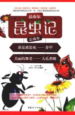 法布尔昆虫记 谁说我装死 步甲 美丽的舞者 大孔雀蛾 彩绘本