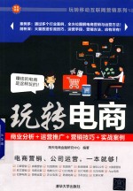玩转电商 商业分析＋运营推广＋营销技巧＋实战案例