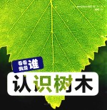 看看我是谁？ 认识树木