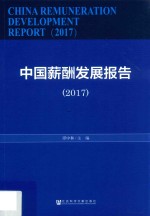 中国薪酬发展报告 2017