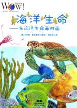 海洋生命 与海洋生命面对面