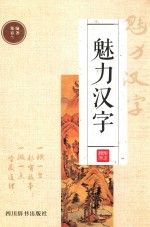魅力汉字