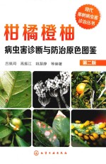 现代果树病虫害诊治丛书 柑橘橙柚 病虫害诊断与防治原色图鉴 第2版