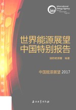 世界能源展望中国特别报告 中国能源展望2017