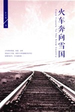 火车奔向雪国
