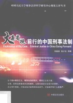 大案省视 前行的中国刑事法制