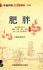 针灸穴位治疗常见病一本通 肥胖