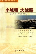 小城镇 大战略 创建文明小城镇经验汇编
