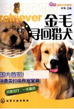 金毛寻回猎犬