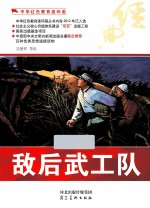 中国红色教育连环画 敌后武工队