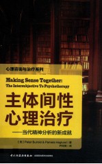 主体间性心理治疗 当代精神分析的新成就