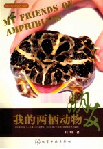 我的两栖动物朋友