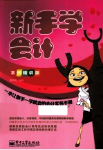 新手学会计 案例精讲版