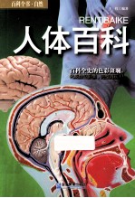 人体百科