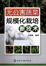 无公害蔬菜规模化栽培新技术