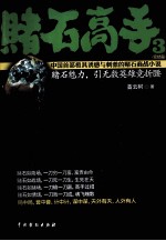 赌石高手 3 完结篇