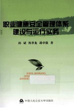职业健康安全管理体系建设与运行实务