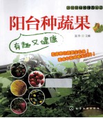 家庭园艺DIY系列 阳台种蔬果 有趣又健康