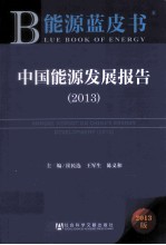 中国能源发展报告 2013 2013版