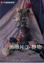 一线教学系列 画照片 2 静物
