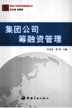 集团公司筹融资管理