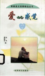 爱的感觉 少男卷